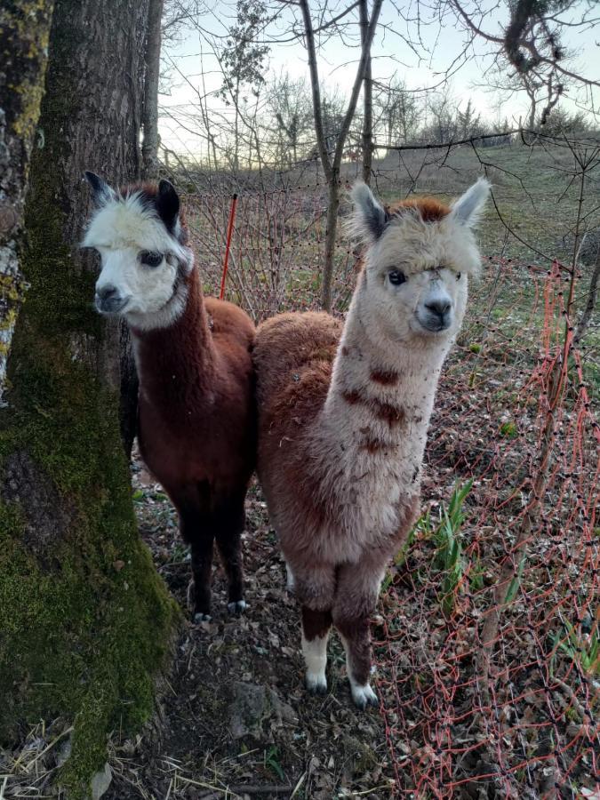 Kanahau Cambayrac Esterno foto